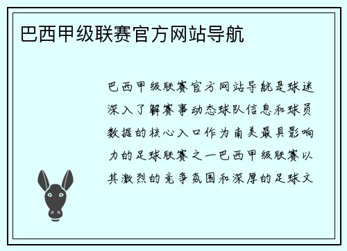 巴西甲级联赛官方网站导航